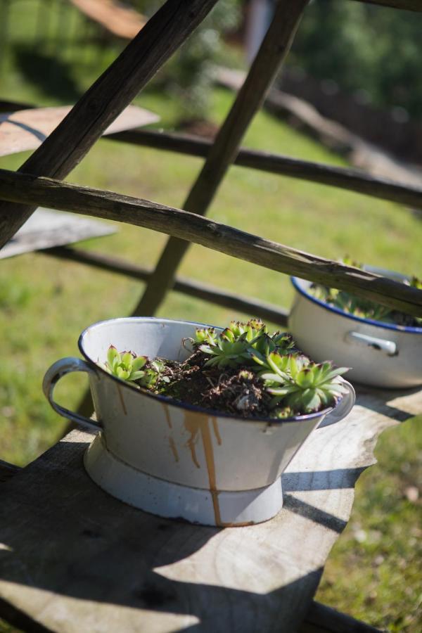 Kaffeehaus Blaslhoehe Lam Zewnętrze zdjęcie